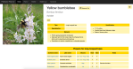 Web page showing tables with information about Bombus fervidus